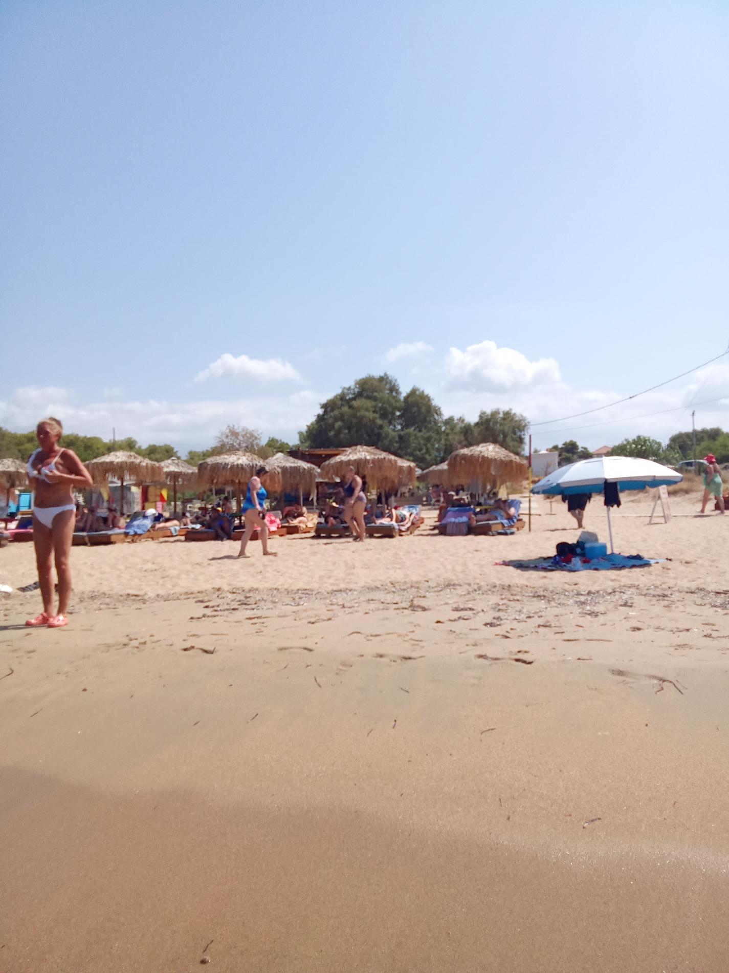 Photo of Iguana Beach