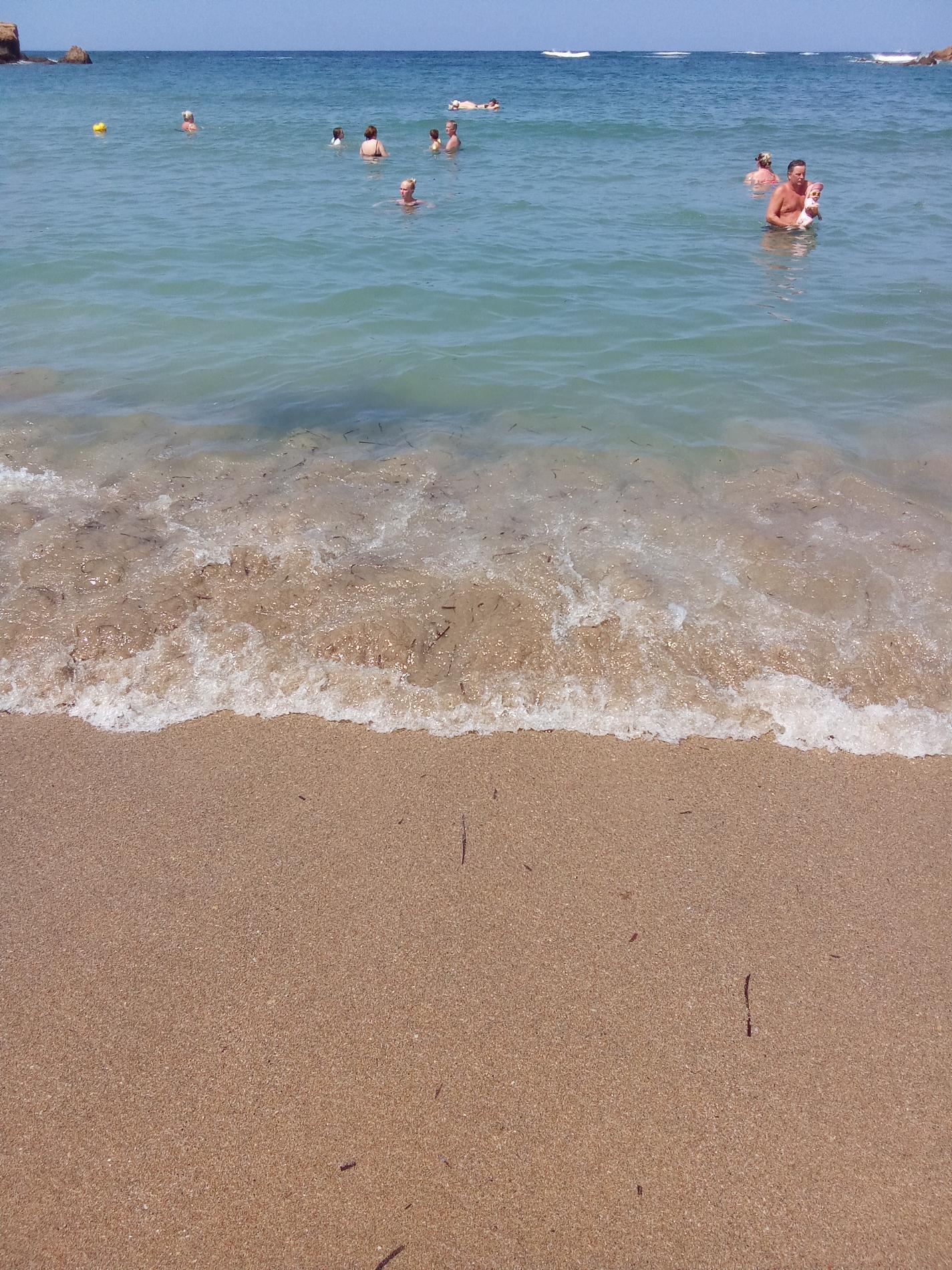 Photo of Iguana Beach