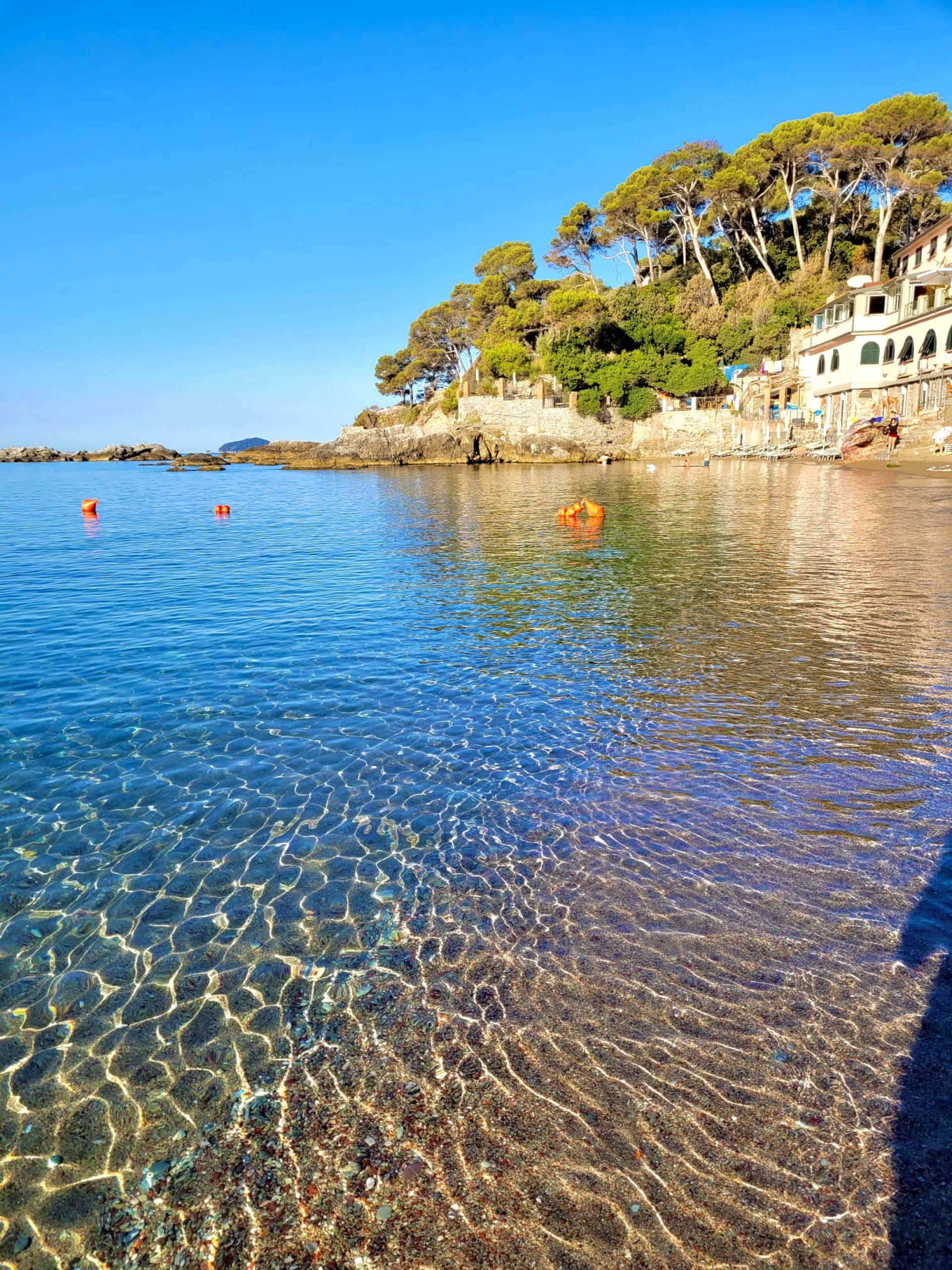 Photo de Spiaggia Fiascherino protégé par des falaises