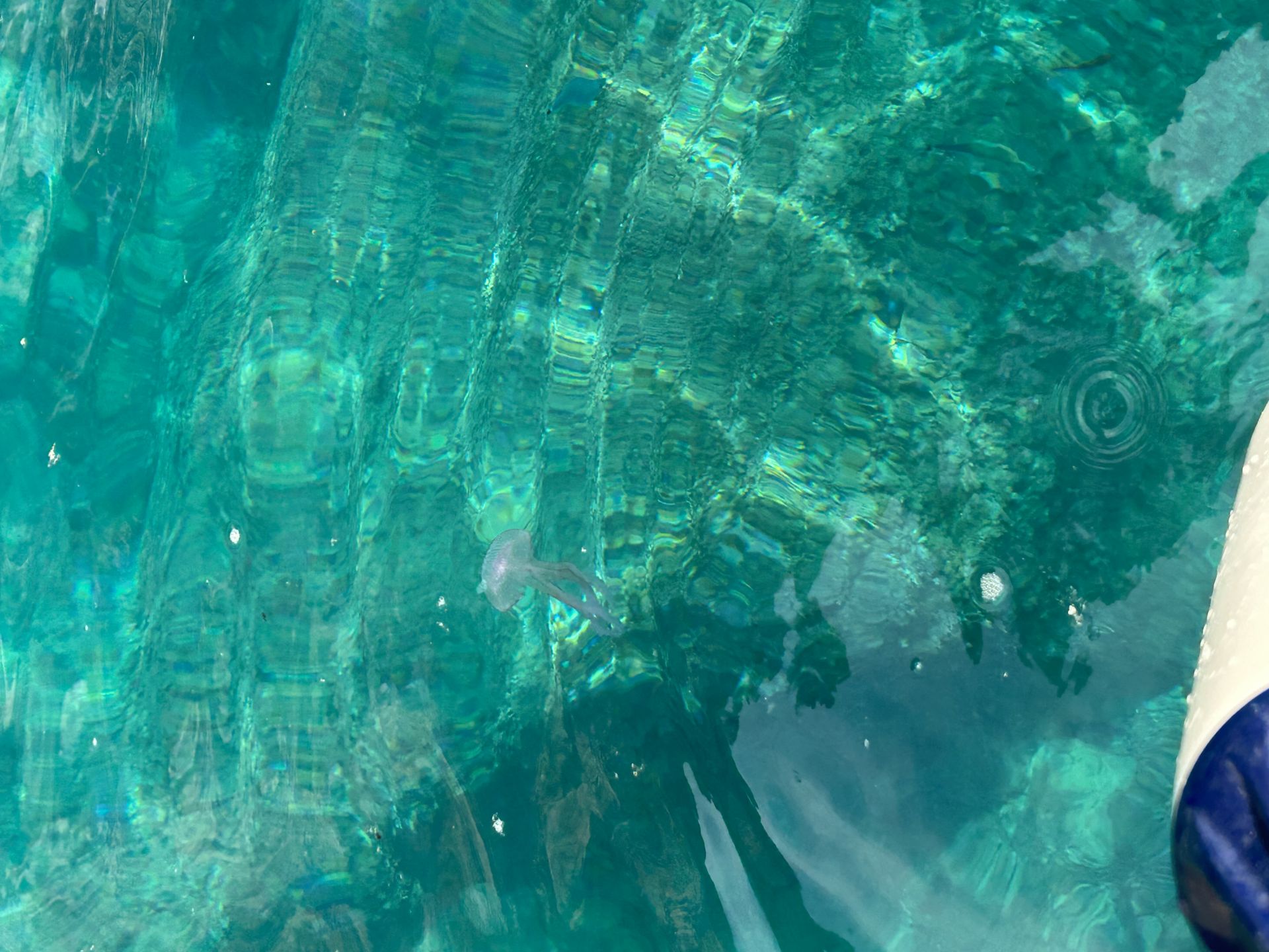 Photo de Spiaggia Cavallo Morto et ses beaux paysages