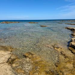 Photo de Cala Toni avec plusieurs petites baies