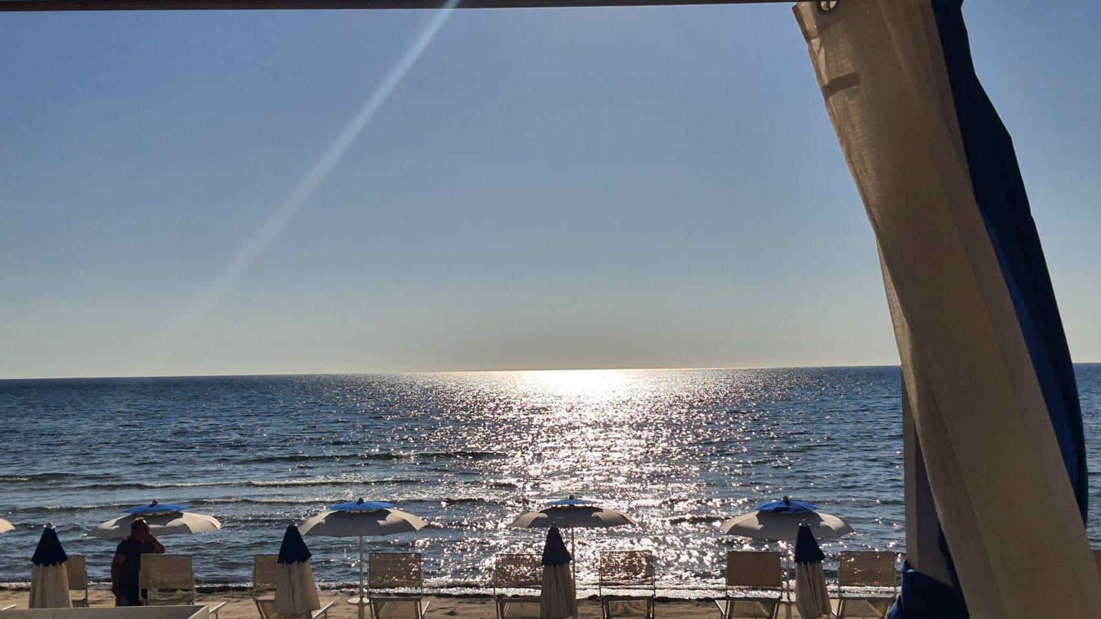 Photo of Alta Marea