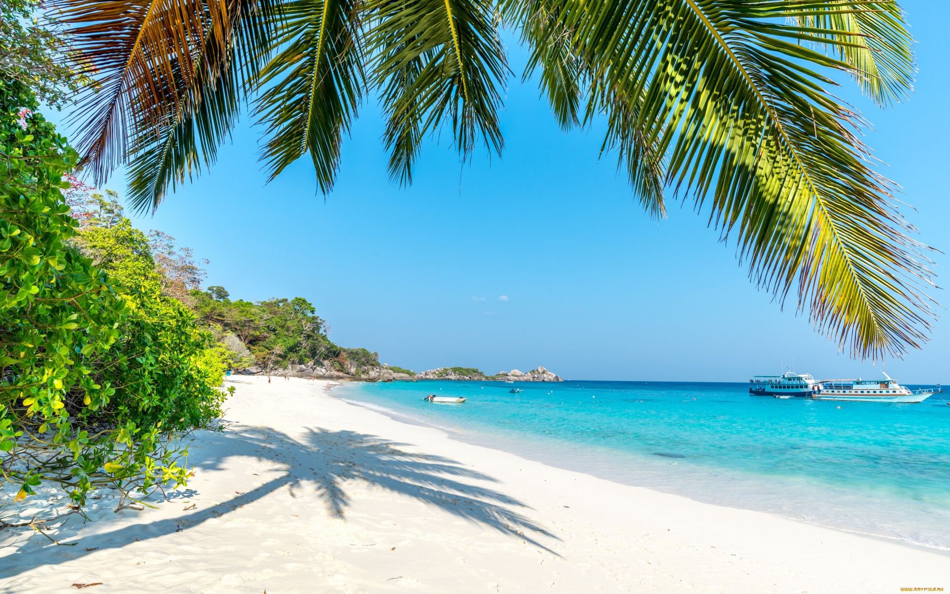Photo de Plage de l'Aigle avec rivage droit, long