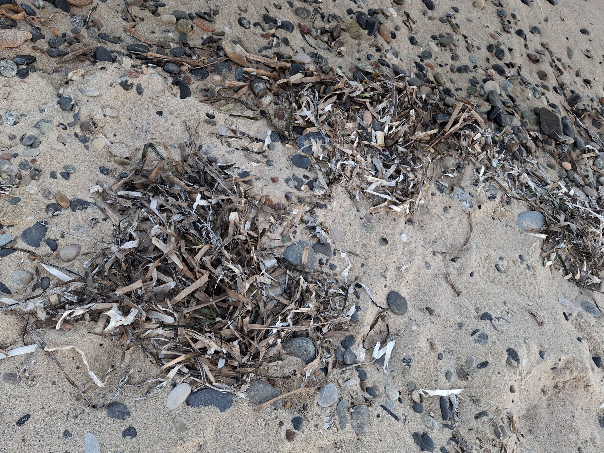 Photo de Platja de la Porquerola - endroit populaire parmi les connaisseurs de la détente