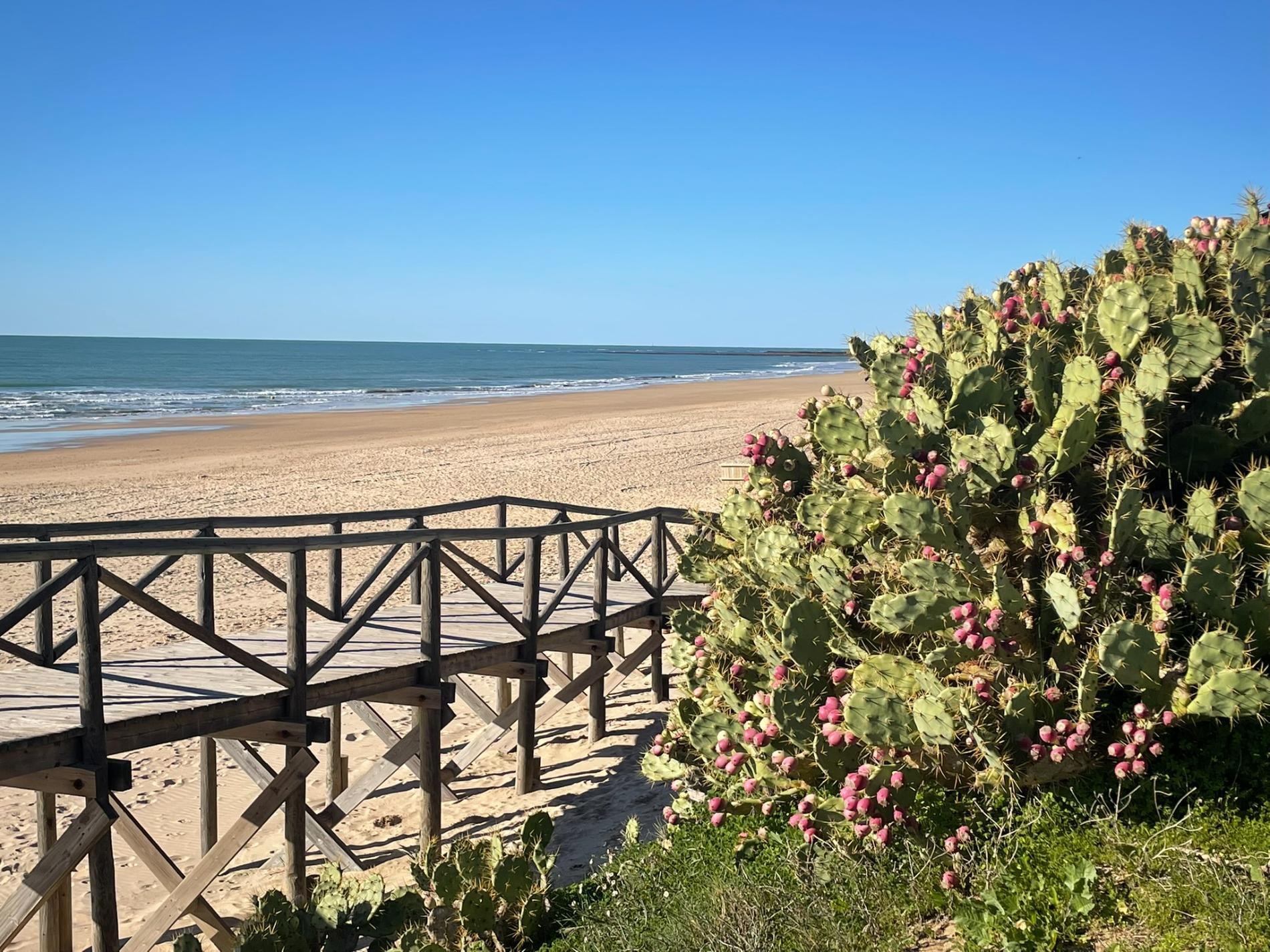 Photo de Playa de las Tres Piedras et le règlement