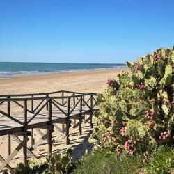 Photo de Playa de las Tres Piedras et le règlement