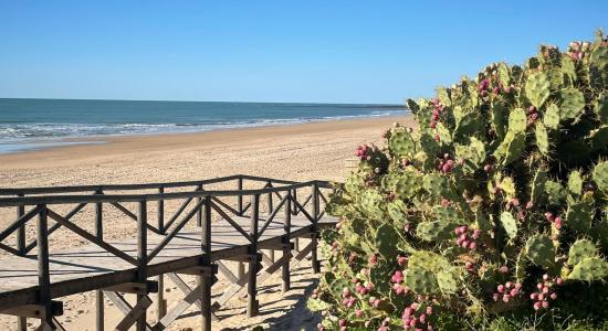 Playa de las Tres Piedras