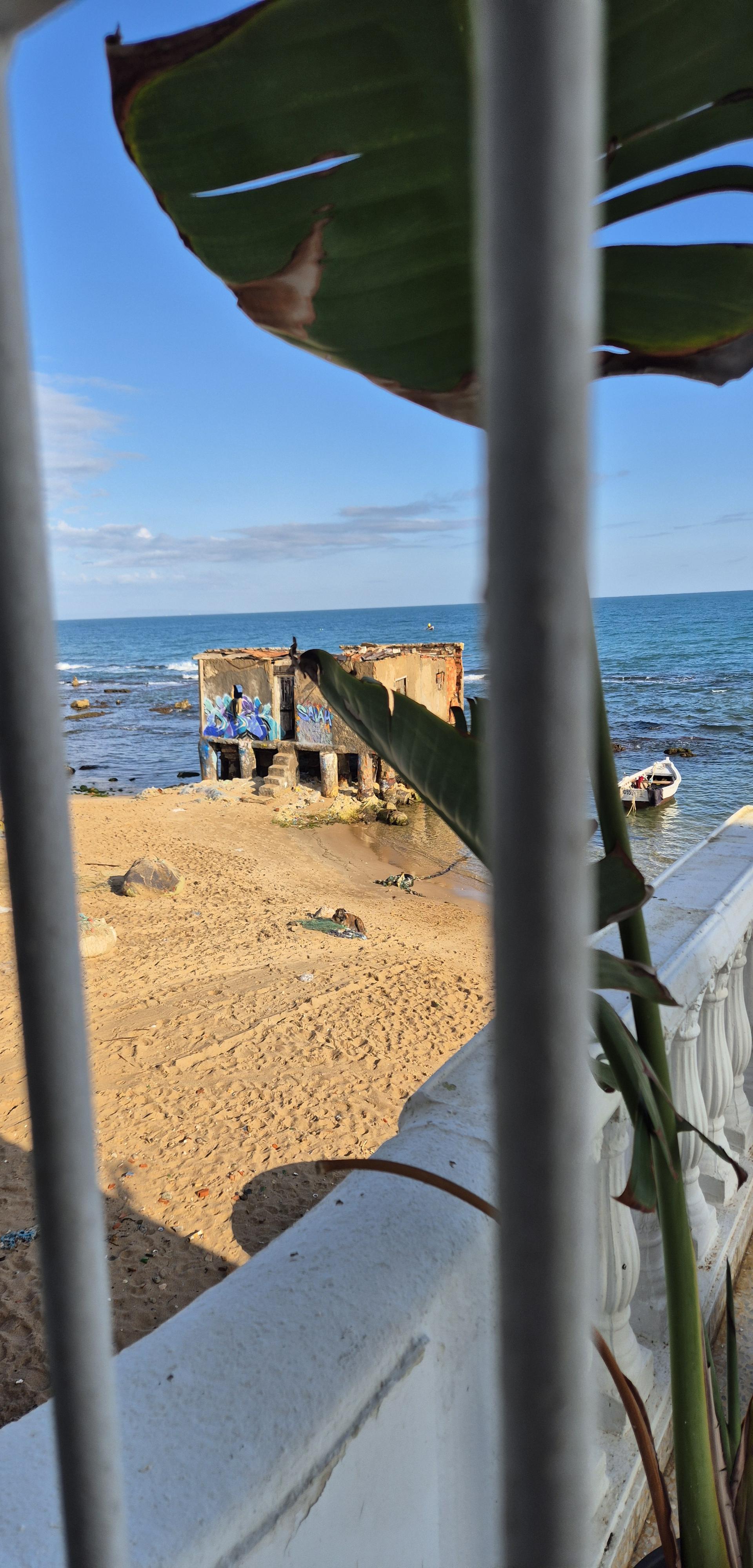 Photo of Plage de La Marsa