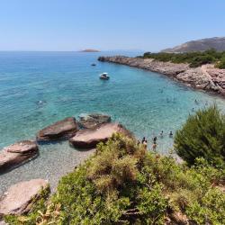 Photo de Aquarium beach situé dans une zone naturelle