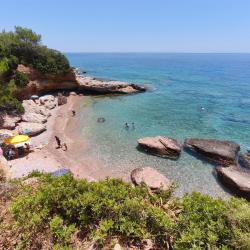 Photo de Aquarium beach et ses beaux paysages