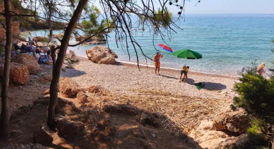 Aquarium beach