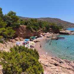 Photo de Aquarium beach zone sauvage