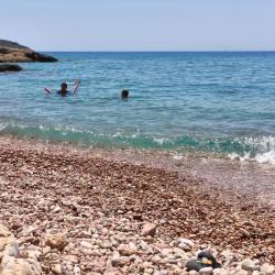 Photo de Aquarium beach avec un niveau de propreté de assez propre