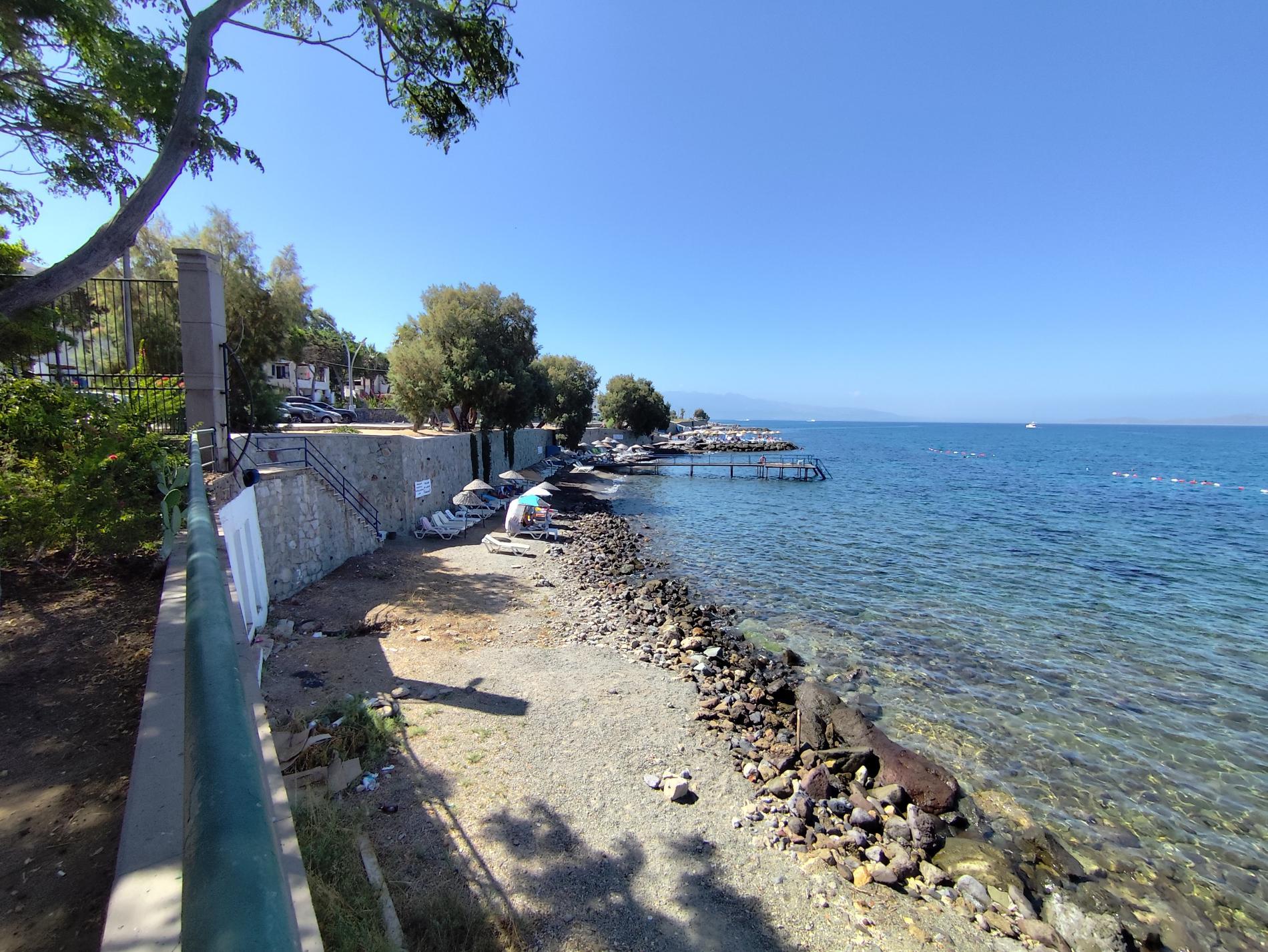 Photo de Turgutreis beach II zone sauvage