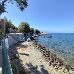 Photo de Turgutreis beach II zone sauvage