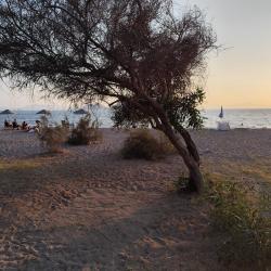 Photo de Ayvan beach III avec plusieurs baies spacieuses