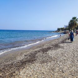 Photo de Guzelcamli beach et le règlement