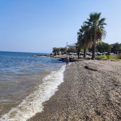 Photo de Guzelcamli beach avec un niveau de propreté de très propre