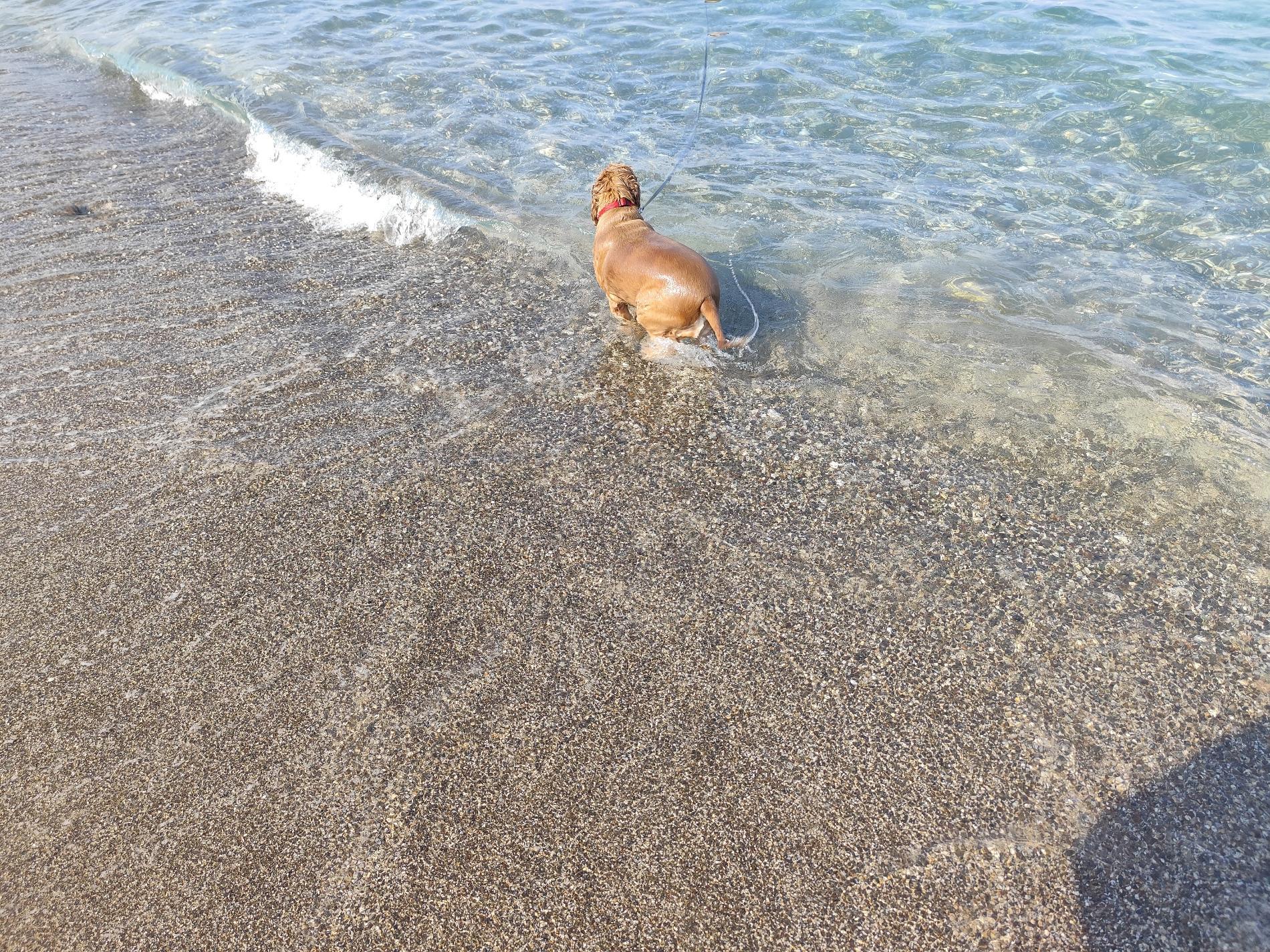 Photo of Kemer Halk Plaji III