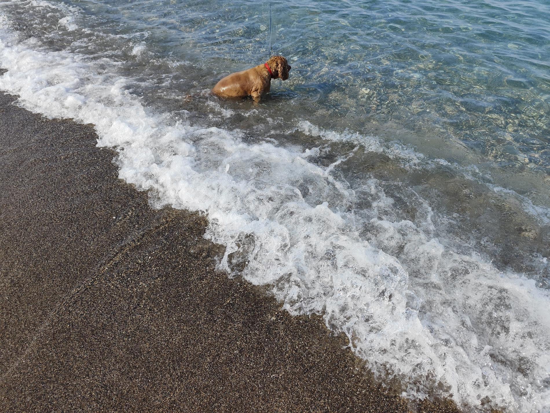 Photo of Kemer Halk Plaji III
