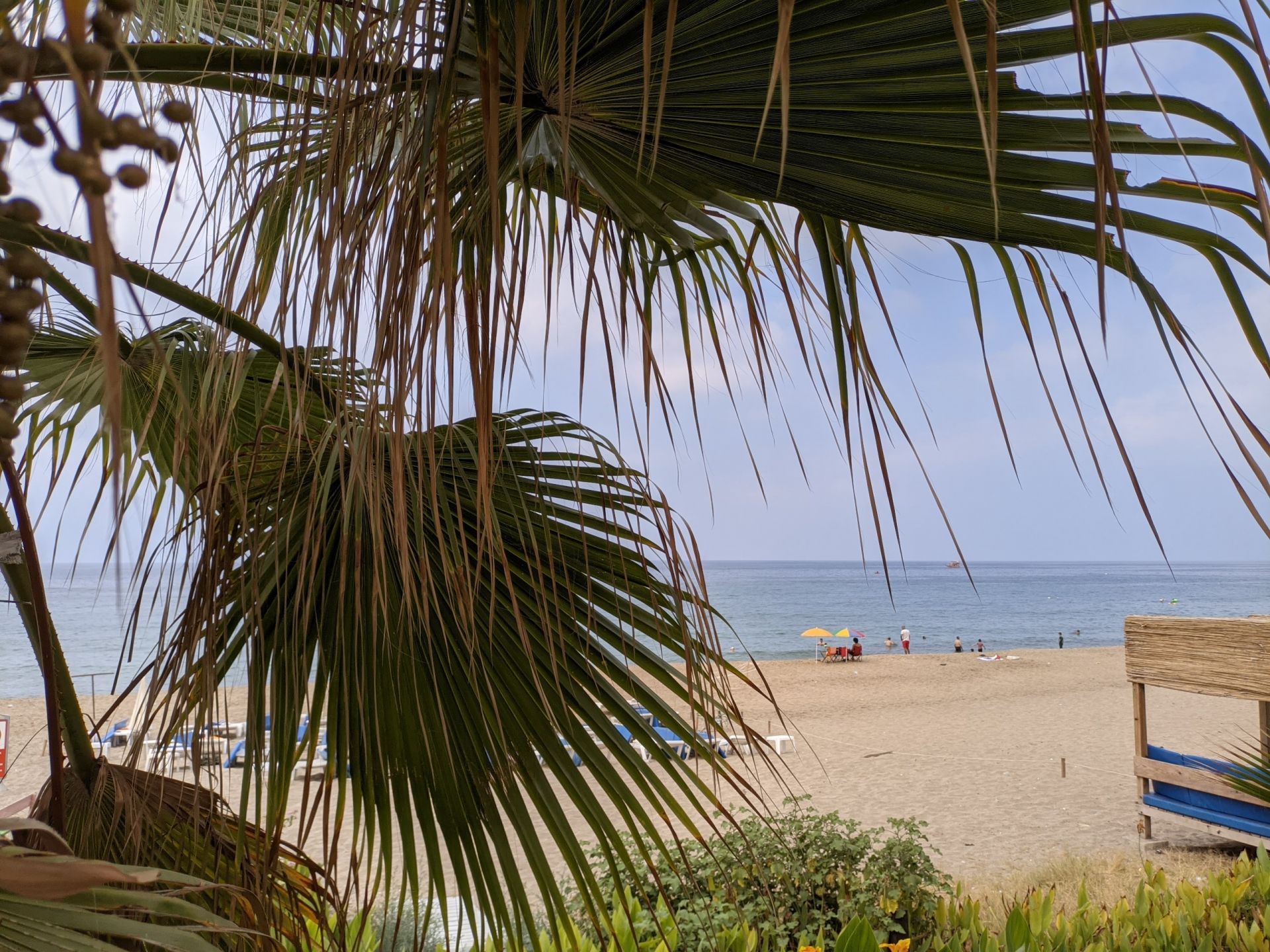 Photo of Kleopatra beach