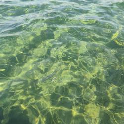 Photo de AVTA Tatil Koyu Iskelesi Plaji - endroit populaire parmi les connaisseurs de la détente