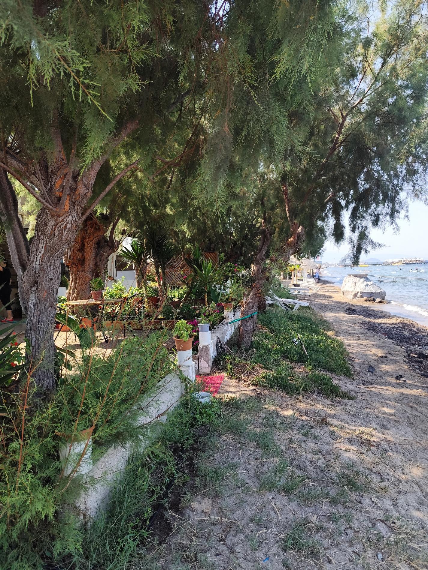 Photo of AVTA Tatil Koyu Iskelesi Plaji