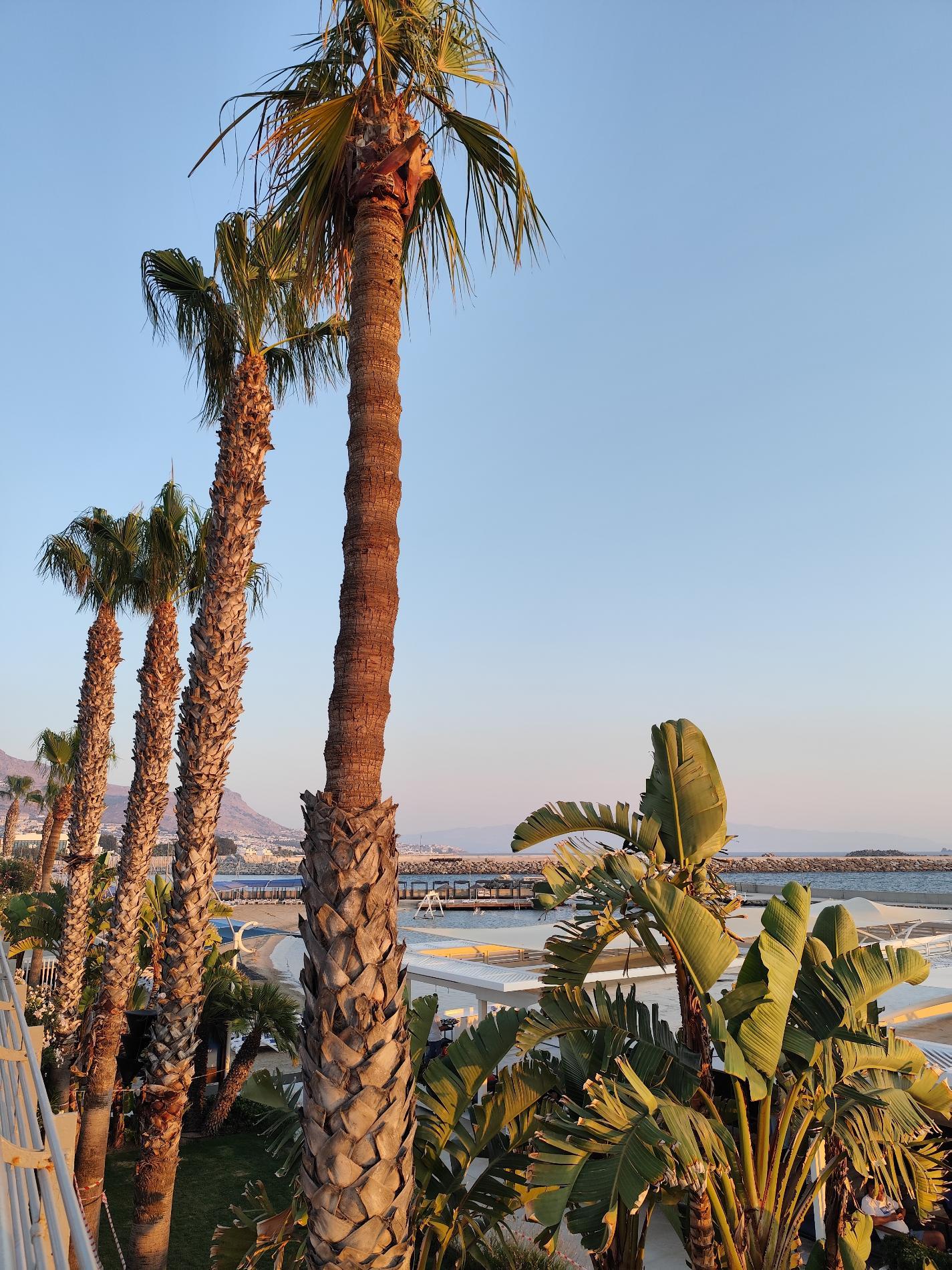 Photo de Arin Beach avec un rivage droit