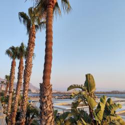 Photo de Arin Beach avec un rivage droit