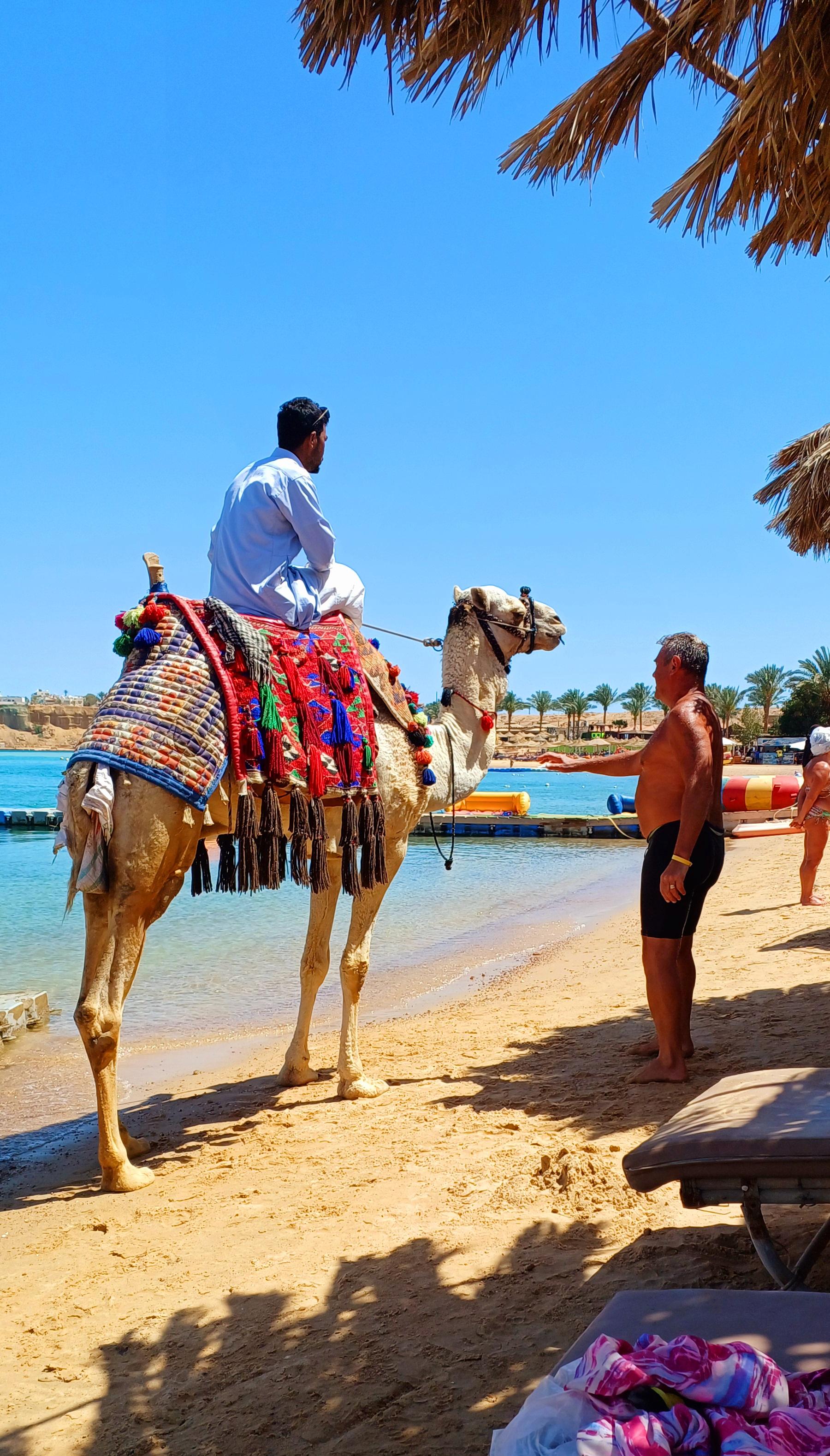 Photo of Hala beach
