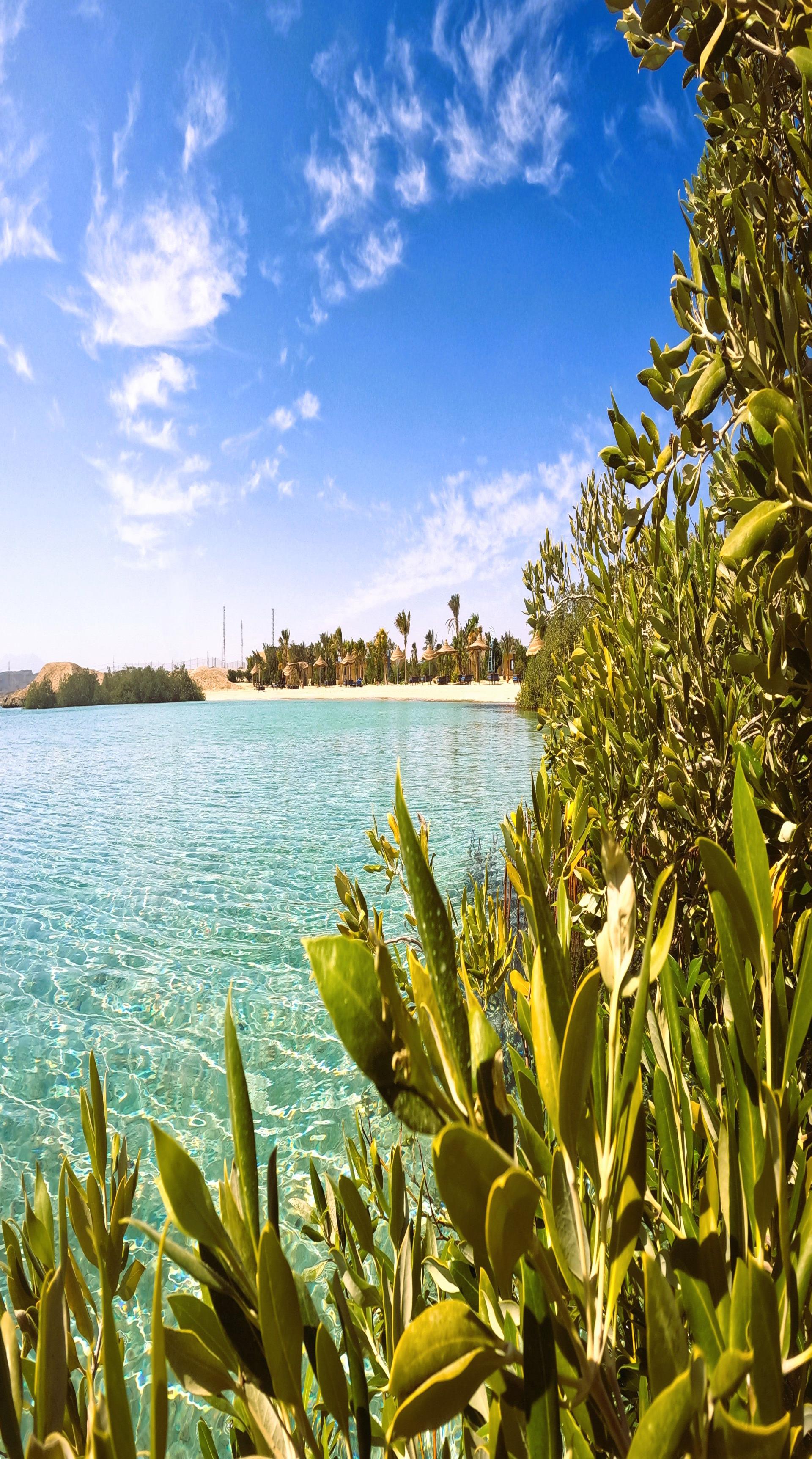 Photo of Mangrove Bay Resort