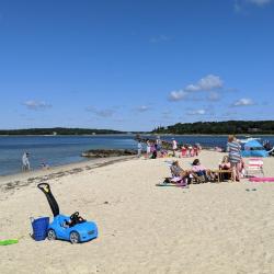 Photo de Megansett Beach avec un niveau de propreté de assez propre