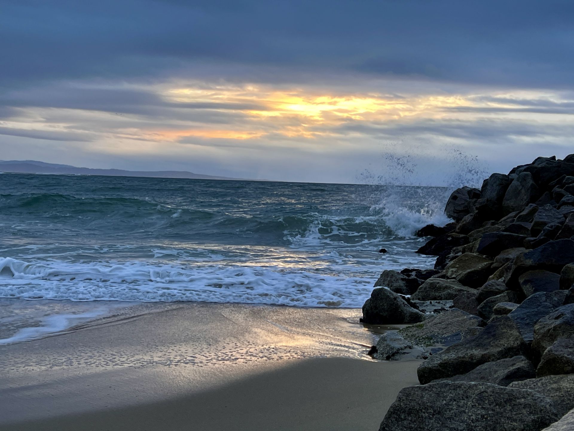 Photo de Island Beach - bon endroit convivial pour les animaux de compagnie pour les vacances