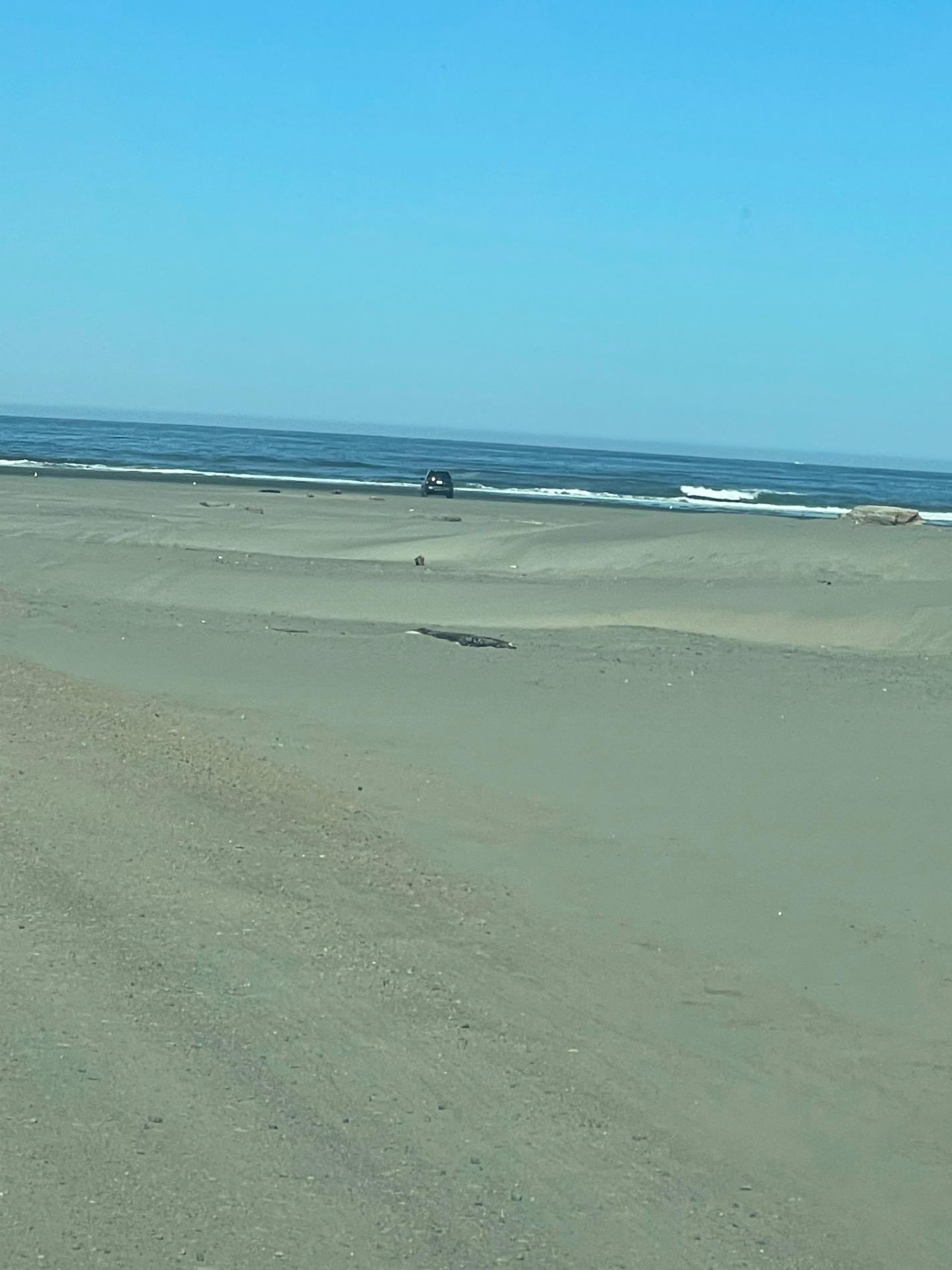 Photo de Ocean Shores Beach - endroit populaire parmi les connaisseurs de la détente