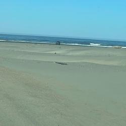 Photo de Ocean Shores Beach - endroit populaire parmi les connaisseurs de la détente