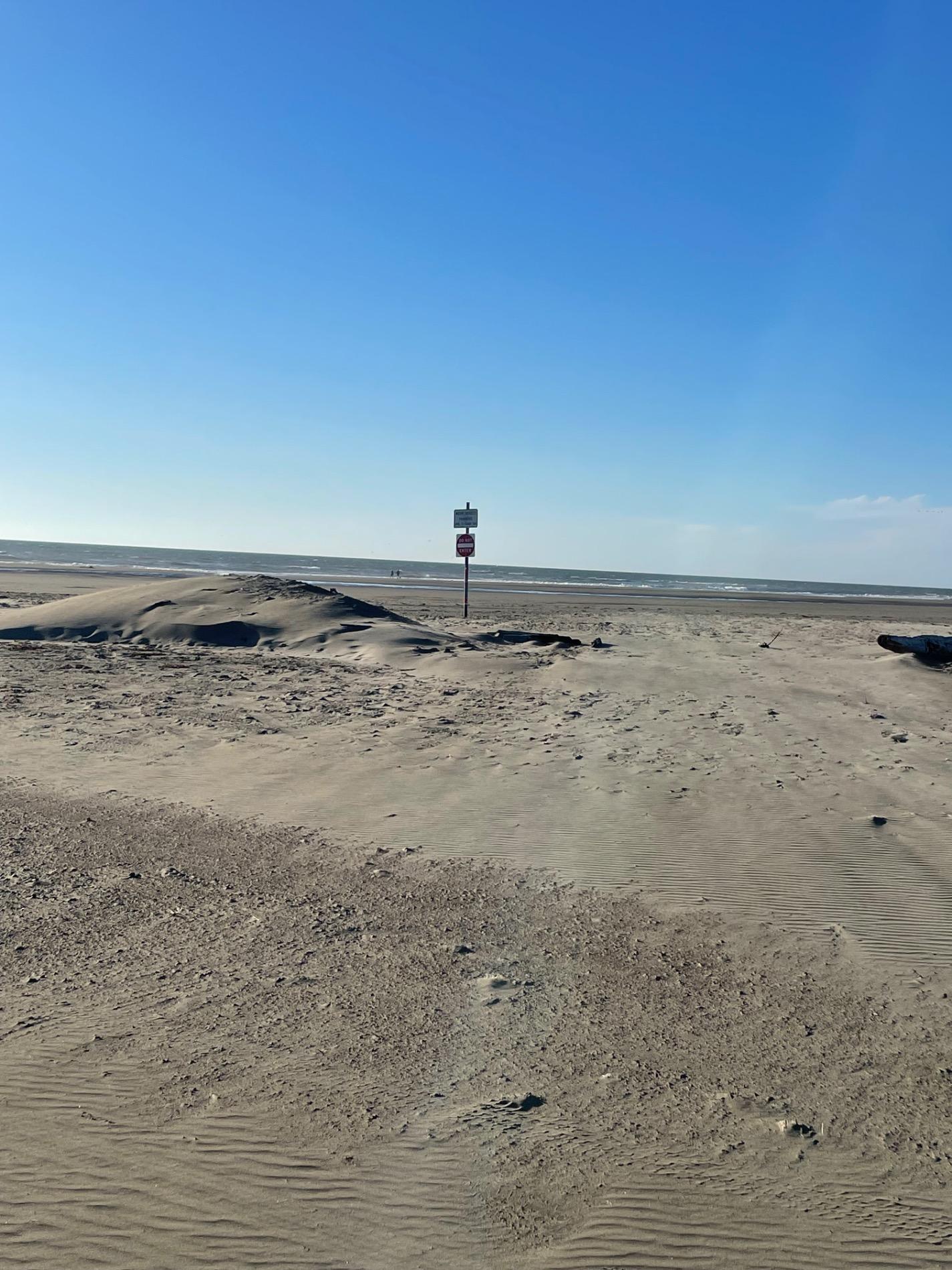 Photo de Ocean Shores Beach - bon endroit convivial pour les animaux de compagnie pour les vacances